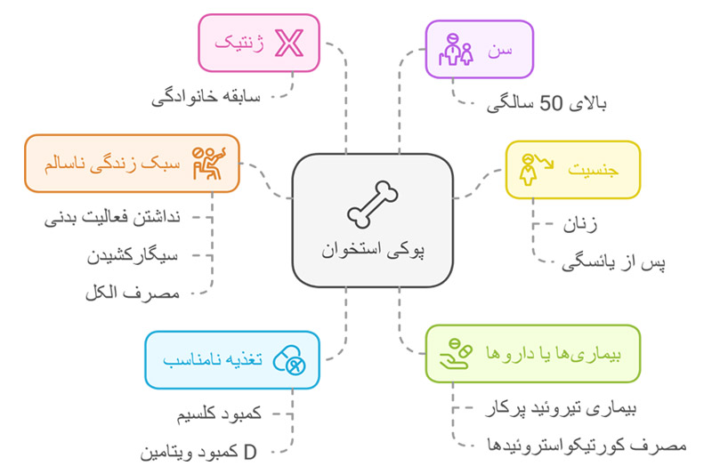 عوامل-ایجادکننده-پوکی-استخوان-