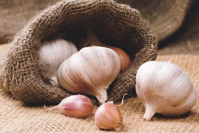 تأثیر-سیر-در-درمان-درد-دندان